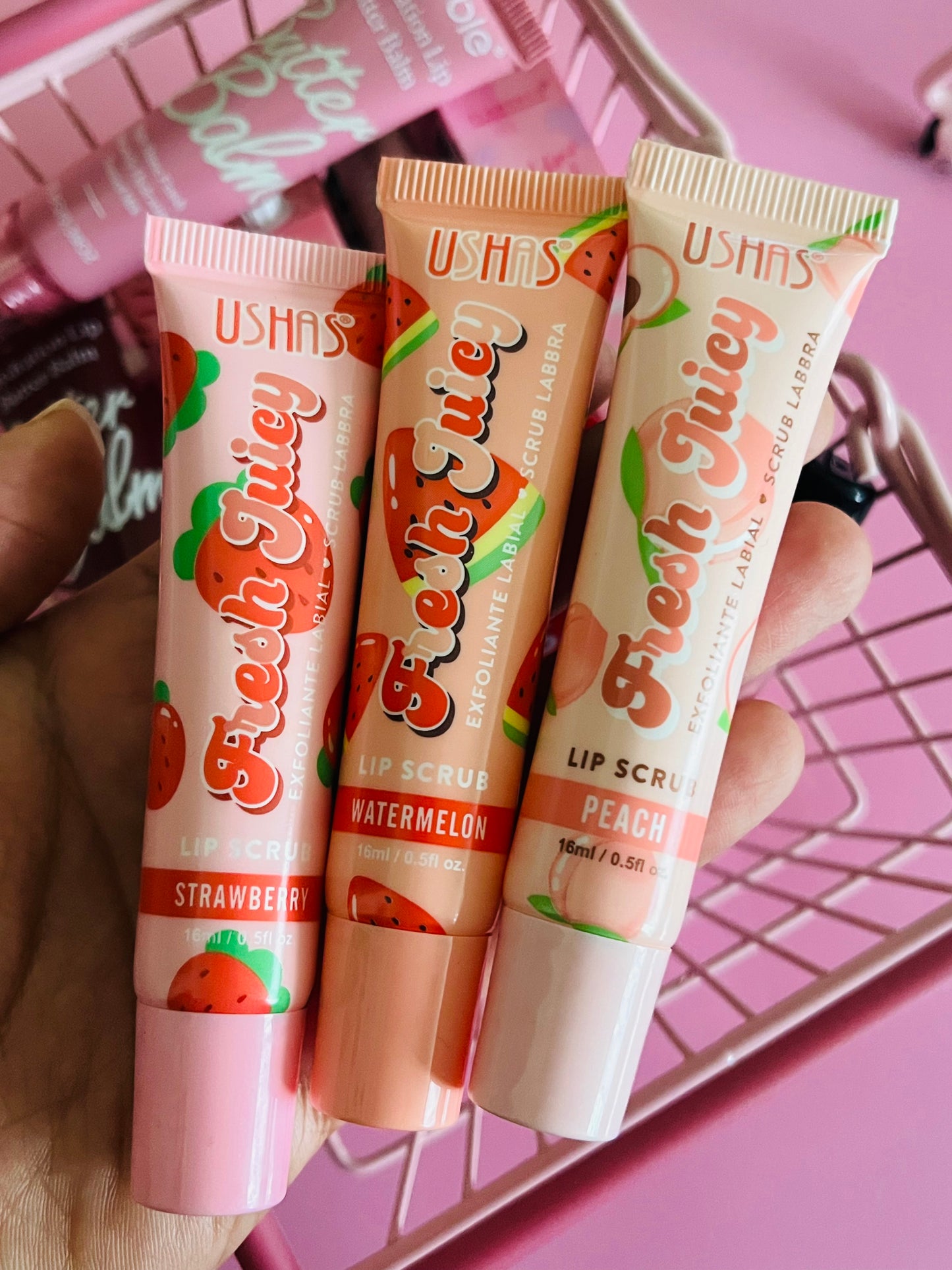 Lote 24 Labiales