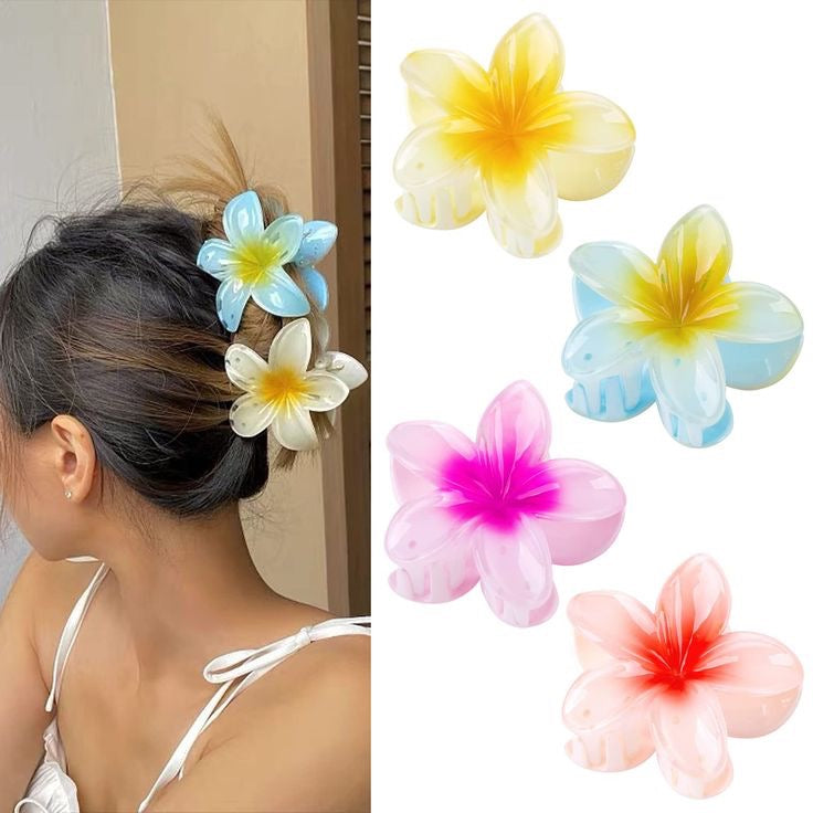 Pinzas para el Cabello