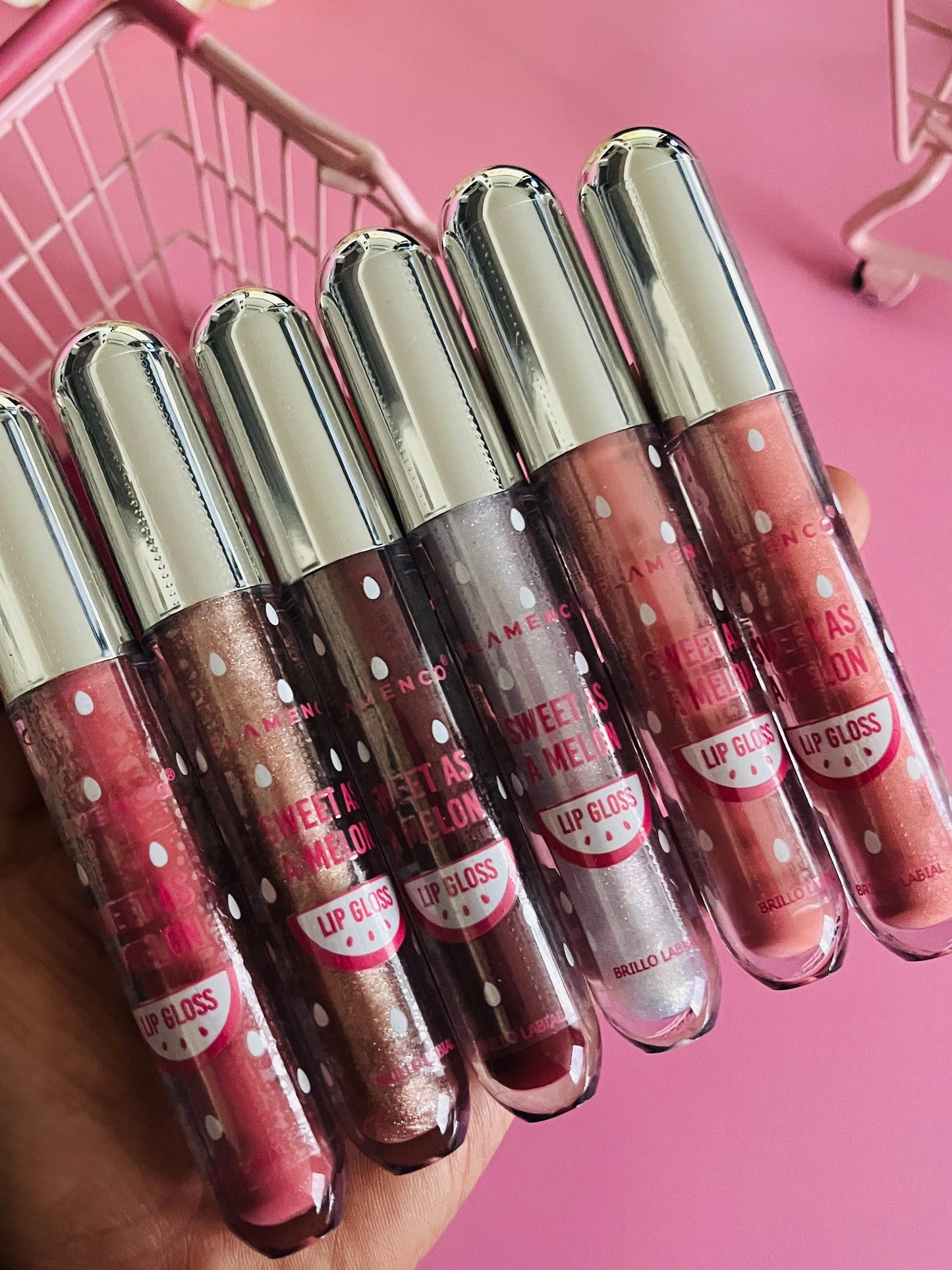Lote 24 Labiales