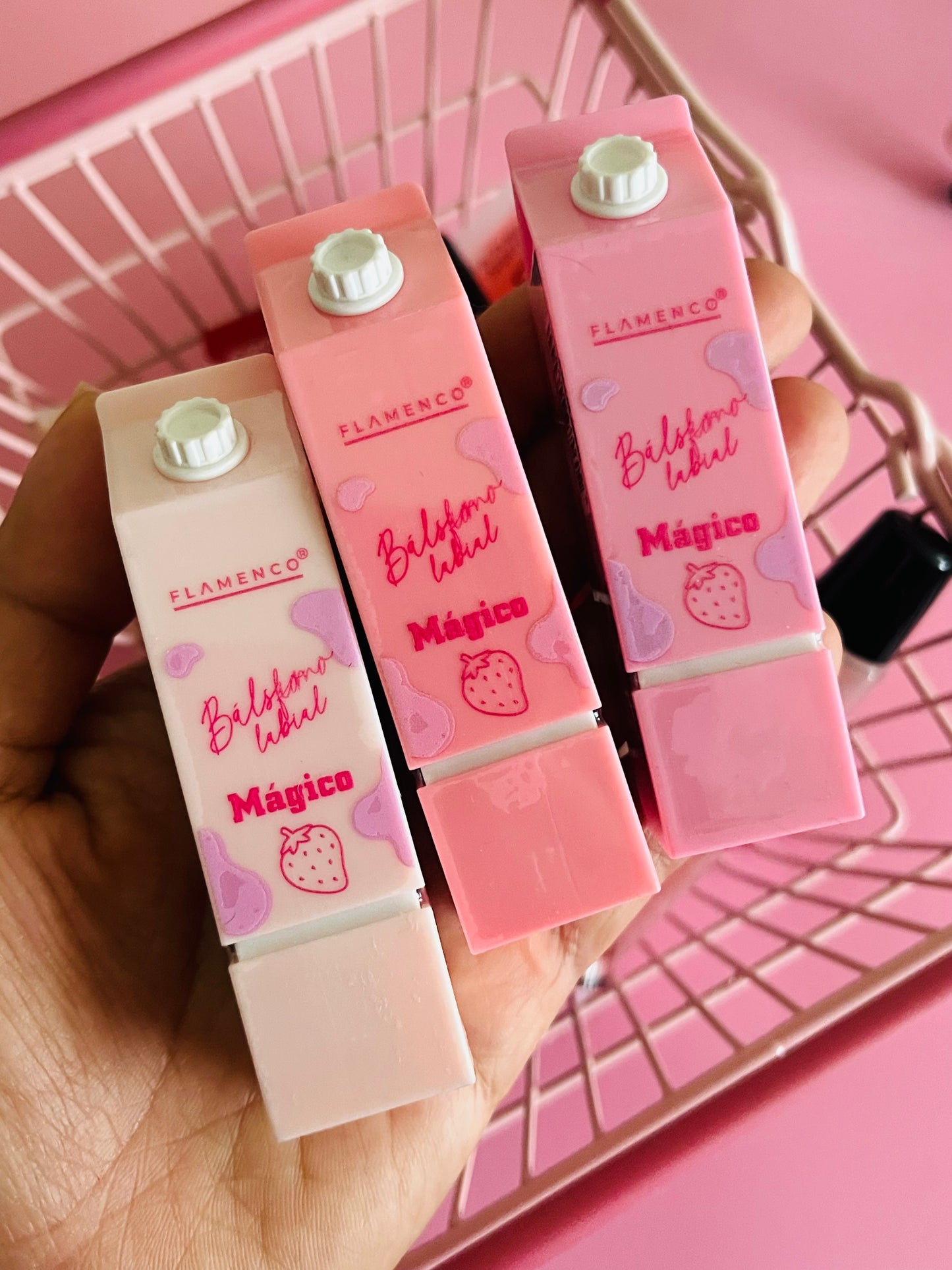 Lote 24 Labiales